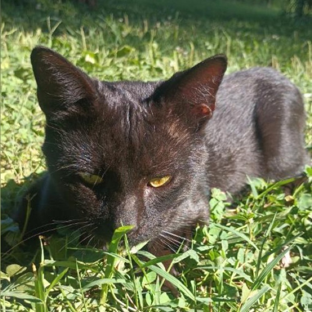 Hi 👋 I’m 🌹Rosalinda 👽